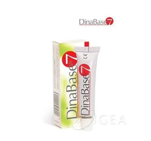  Dinabase 7 Gel Adesivo per Dentiera 20 g