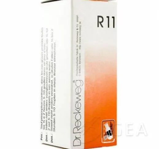 Dr.Reckeweg R11 Rimedio omeopatico in gocce 22 ml