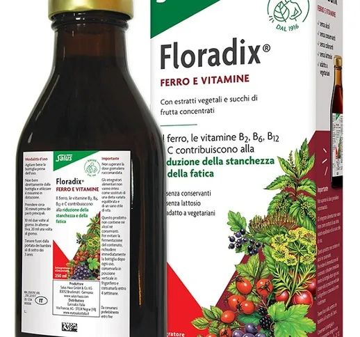 Floradix Ferro E Vitamine 250 Ml