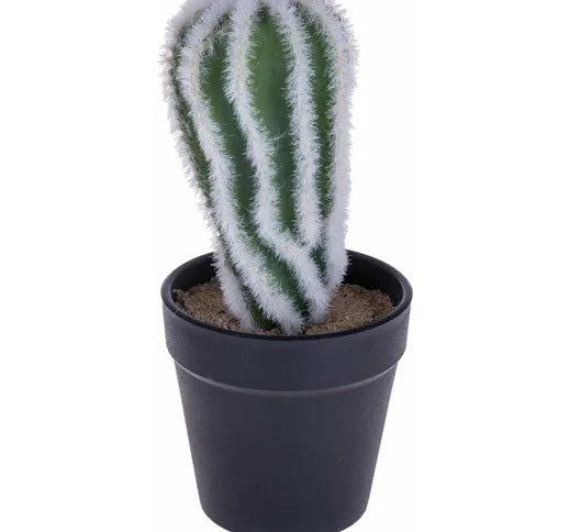 Set 4 Cactus Artificiale con Vaso Altezza 20 cm