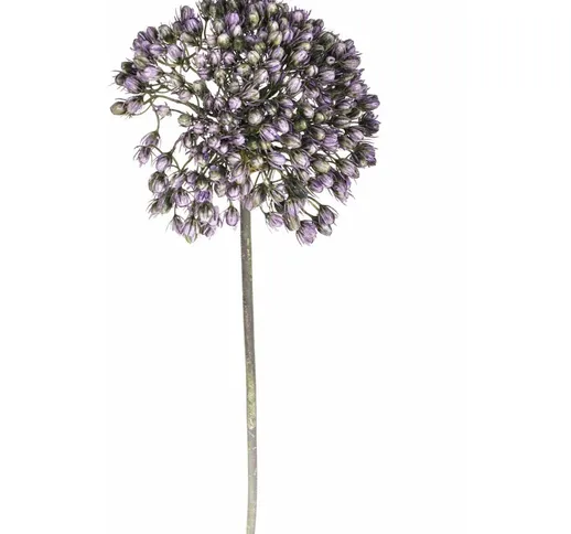 Giordanoshop - Set 3 Fiori Artificiali di Allium Altezza 65 cm Viola