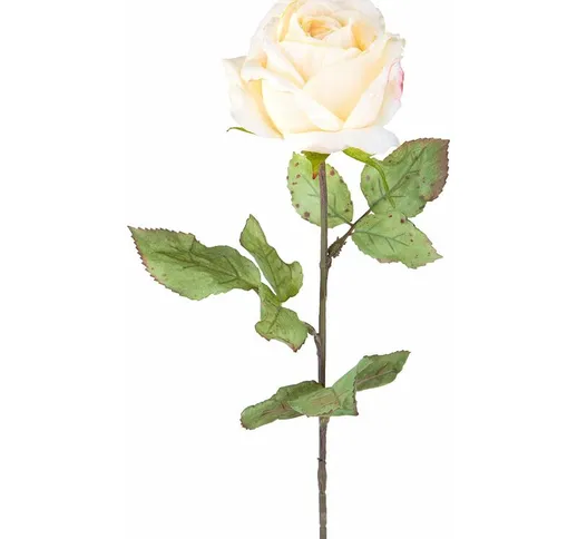 Giordanoshop - Set 4 Rose Artificiali con Dry Altezza 62 cm