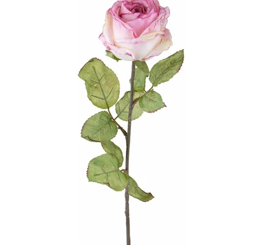Giordanoshop - Set 4 Rose Artificiali con Dry Altezza 62 cm Rosa