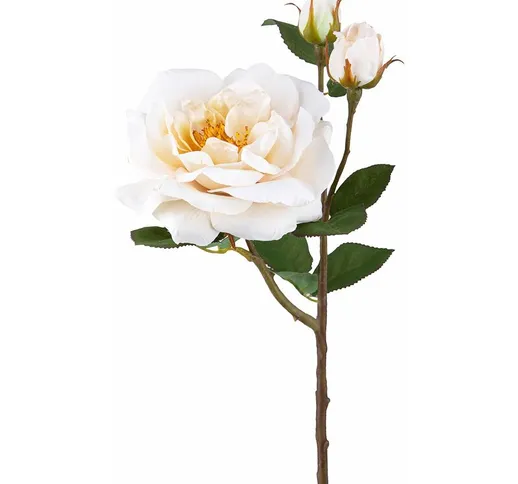Giordanoshop - Set 4 Rose Artificiali Inglese Altezza 48 cm