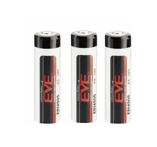 Tutte Le Marche - 3 Batteria speciale Stilo Litio AA EVE ER14505 3.6 V 2700 mAh