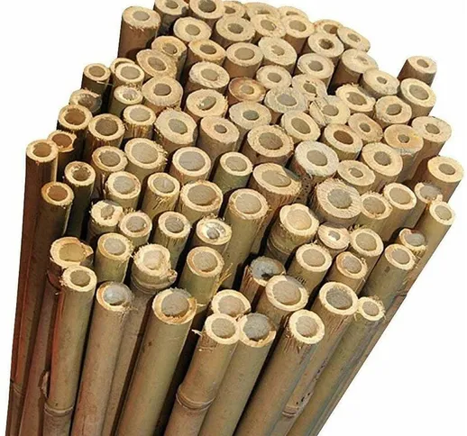 50 Canne Bamboo alte 150 cm ø 22/24 mm Per piante agricoltura orto arredi strutture in bam...