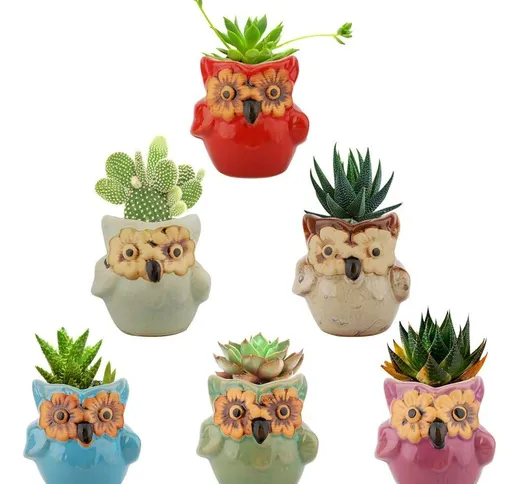 6 pezzi mini gufo vasi per piante grasse vaso di fiori in ceramica bonsai vaso di cactus r...