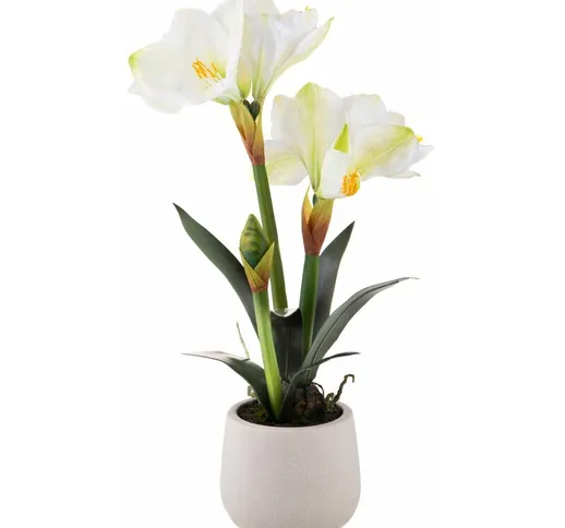 Giordanoshop - Amaryllis Artificiale con Vaso Altezza 64 cm Bianco