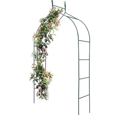 Bakaji - Arco da Giardino Supporto per Rose e Piante Rampicanti in Metallo Altezza 240 cm