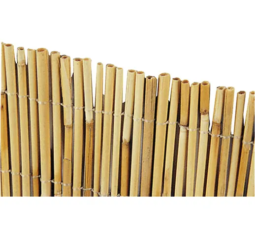  - arella 'bamboo' cm 250 x 400