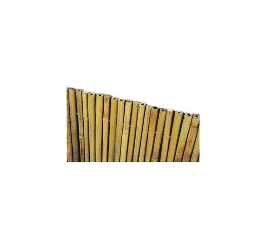 Stars - Arella stuoia bamboo grande canna pulita mm 14-16 rotolo da 3mt altezza 1.5mt