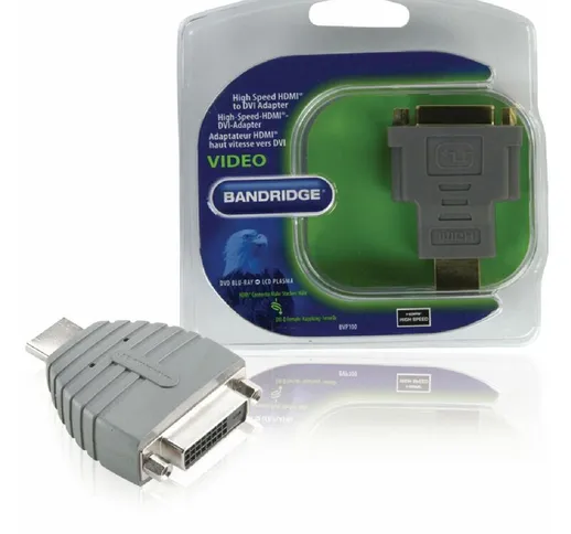  Adattatore HDMI ad Alta Velocità Connettore HDMI - DVI-D 24+1p Femmina Grigio NE55905415