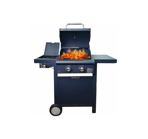 Barbecue a gas KE001