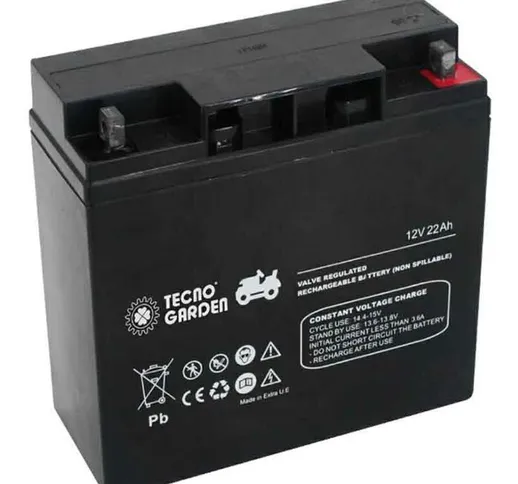 Batteria 22 Ah, Polo Positivo a DX, L. mm 180, P. mm 75, H. mm 165