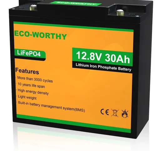 Batteria al litio ricaricabile 12V 30Ah LiFePO4 con oltre 3000 cicli profondi e protezione...