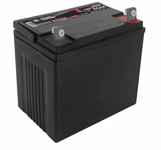 Batteria 350 EN, Polo Positivo a DX, L. mm 195, P. mm 130, H. mm 185