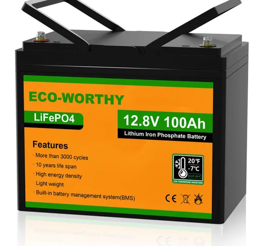 Batteria al litio 12V 100Ah LiFePO4 ricaricabile con oltre 3000 cicli profondi e protezion...