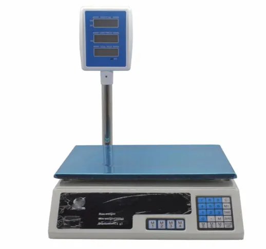 Led Leds - bilancia digitale elettronica 30 kg 5GR doppio display lcd da banco con braccio