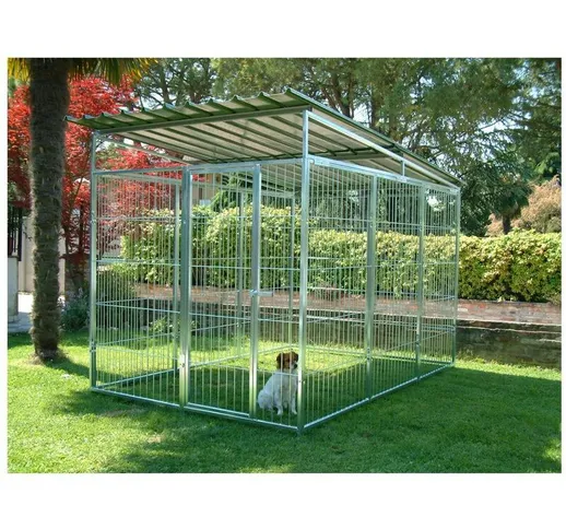 Box per cani singolo da esterno in rete con copertura zincatura a caldo dimensioni 300 x 2...