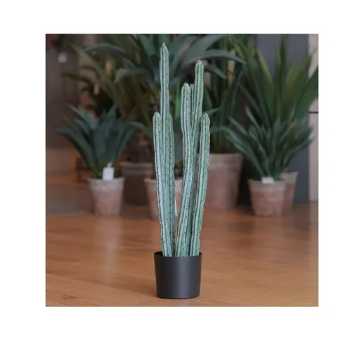 Cactus CM.95 verde chiaro in vaso