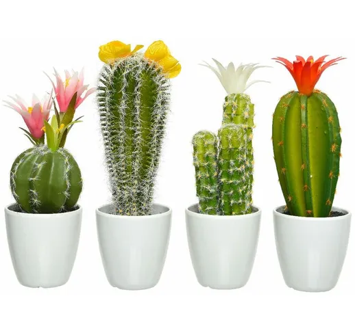 Cactus in vaso 7,50X24 cm assortiti
