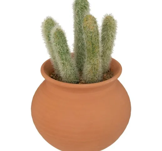 Cactus in vaso alicante in terracotta h16,5cm - Atmosphera créateur d'intérieur - Modello...