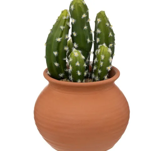 Cactus in vaso alicante in terracotta h16,5cm Atmosphera créateur d'intérieur - Modello a