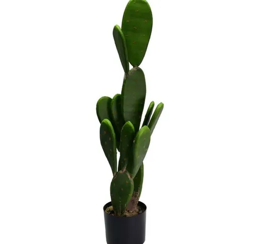Pianta cactus con vaso tondo cmø14h84