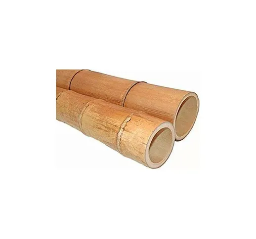 Canna di Bamboo Gigante h. 150 ø 3/4 cm moso Canne di Bambù per Arredamento