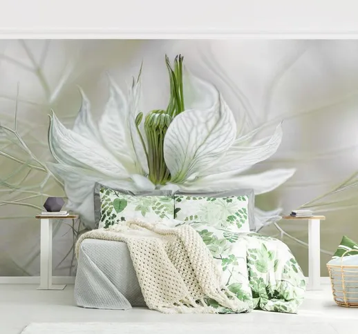  - Carta da parati adesiva fiori - Bianco Nigella Dimensione H×L: 255cm x 384cm