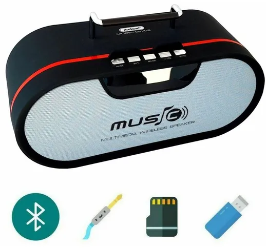 Cassa speaker bluetooth ricaricabile portatile FM microSD TF USB AUX QW09