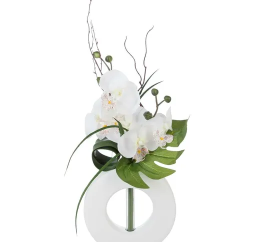 Composizione orchidea + vaso bianco - Bianco