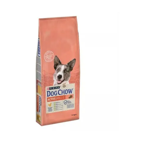 Cane Dog Chow Active Pollo 14 Kg 