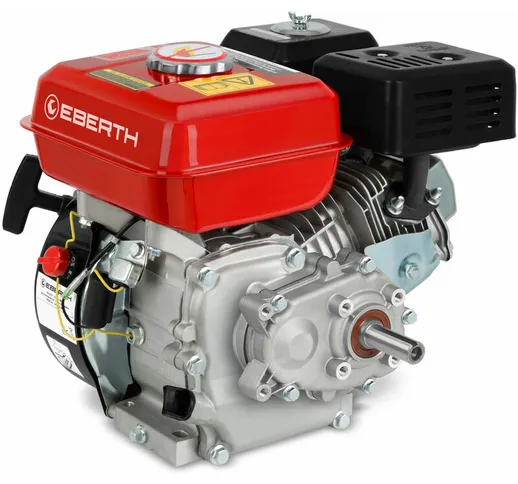 6,5 cv Motore a Scoppio Motore a Benzina con Riduttore 2:1, Albero ø 19,05 mm, Protezione...