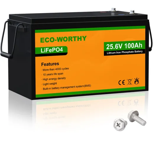 24 v 100 Ah LiFePO4 Batteria al litio ricaricabile con oltre 3000 cicli profondi e protezi...