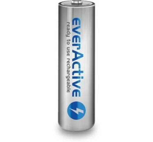 Everactive batterie ricaricabili aa evhrl6-2000