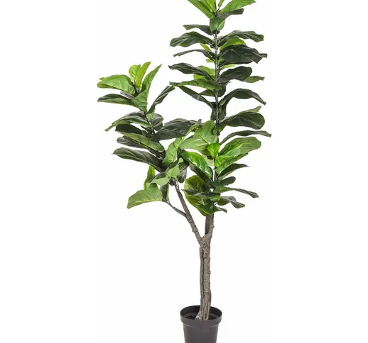 Ficus Lyrata Artificiale con Vaso Altezza 175 cm Verde