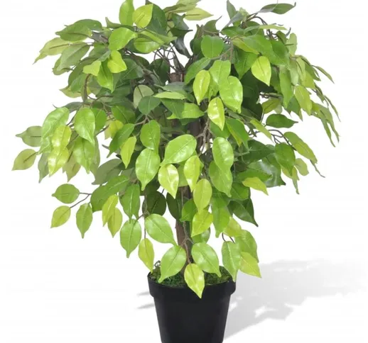 Ficus Nano Artificiale con Vaso 60 cm