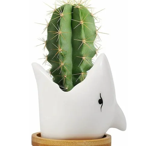 Tumalagia - Fioriera per contenitori di cactus, vaso di fiori piccolo, vaso di fiori in ce...