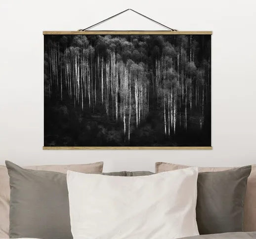 Foto su tessuto da parete con bastone - Birch Forest In Aspen - Orizzontale 2:3 Dimensione...