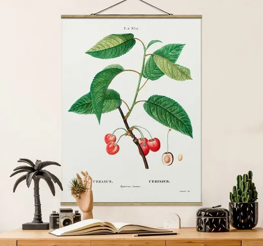 Foto su tessuto da parete con bastone - Botanica illustrazione d'epoca Red Cherries - Vert...