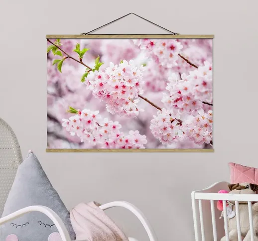 Foto su tessuto da parete con bastone - Fioriture di ciliegio giapponesi - Orizzontale 2:3...