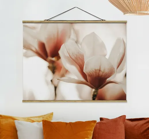 Foto su tessuto da parete con bastone - Fioriture di magnolia delicate nel gioco di luce -...