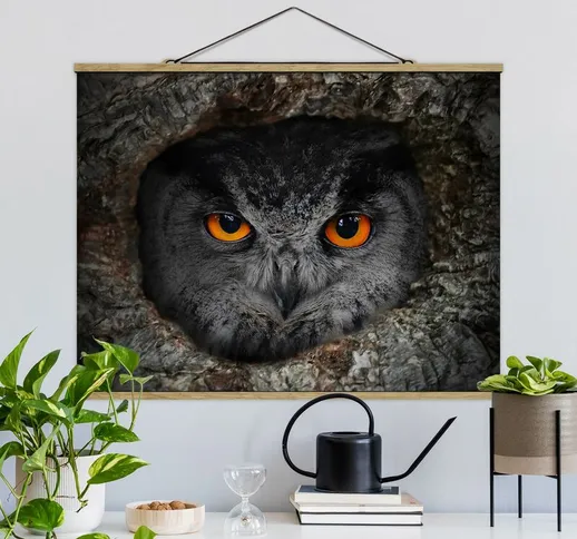 Foto su tessuto da parete con bastone - guardando Owl - Orizzontale 3:4 Dimensione H×L: 60...