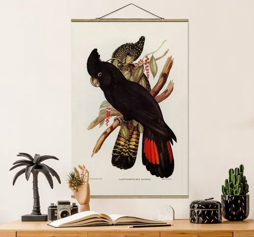 Foto su tessuto da parete con bastone - Illustrazione Vintage Black Cockatoo Nero Oro - Ve...