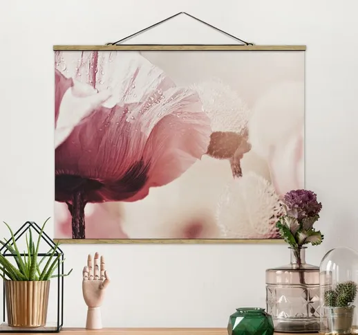 Foto su tessuto da parete con bastone - Papaveri delicati rosati con gocce d'acqua - Orizz...
