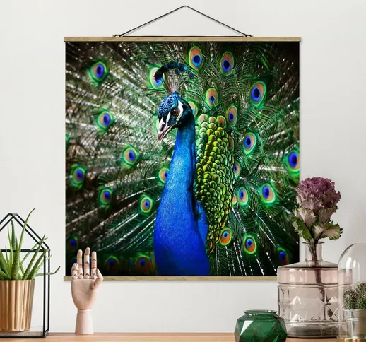 Foto su tessuto da parete con bastone - Peacock Noble - Quadrato 1:1 Dimensione H×L: 80cm...