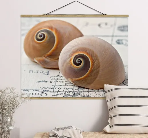 Foto su tessuto da parete con bastone - Shell Duo - Orizzontale 3:4 Dimensione H×L: 60cm x...