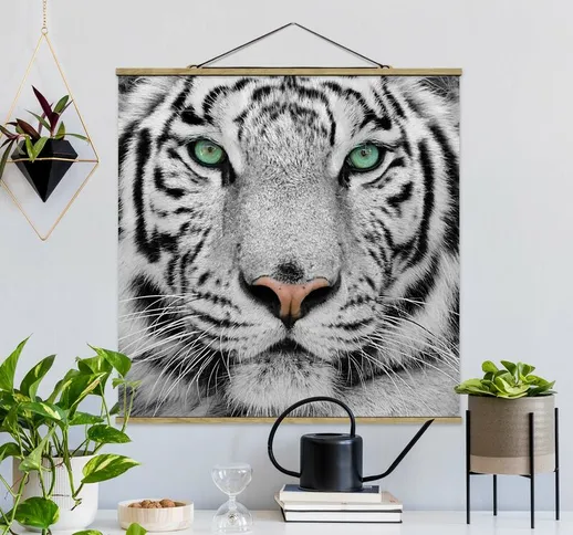 Foto su tessuto da parete con bastone - white Tiger - Quadrato 1:1 Dimensione H×L: 80cm x...