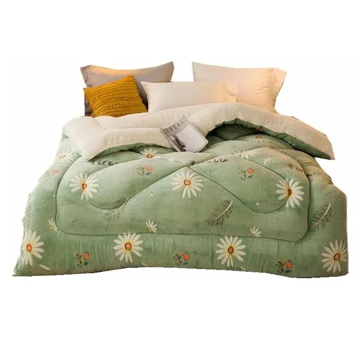 Home Textile Agnello di Agnello Velvet Duvet Snow Fleece Inverno Piumino Inspolverato Colo...